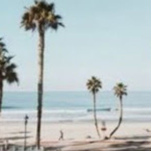 Meet your Posher, Lily